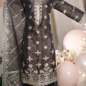 Brown Rainbow Organza Embroidered 3pcs