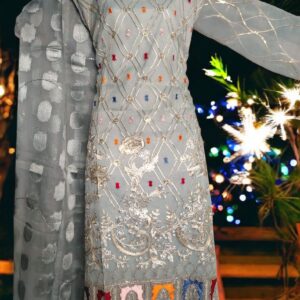 Silver Grey Organza Embroidered 3pcs